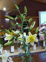 Foto: Dr. Peter Müller